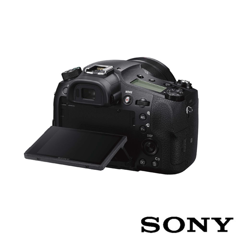 SONY 索尼 RX10 IV 高階小型相機 DSC-RX10M4 (公司貨 保固18+6個月)