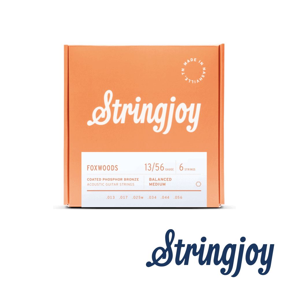 Stringjoy  13-56 鍍膜磷青銅 木吉他套弦 FW1356 公司貨