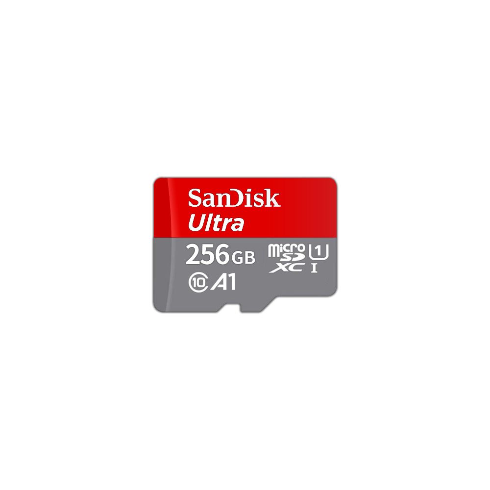 SanDisk 晟碟 256GB Ultra micro SDXC C10記憶卡120MB/s(SDSQUA4-256G-GN6MN)