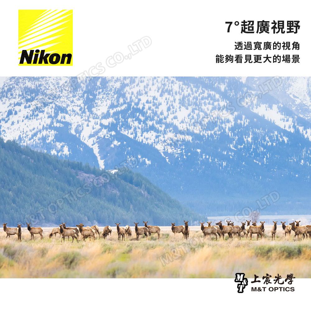 Nikon 尼康   ProStaff P3 10x42雙筒望遠鏡