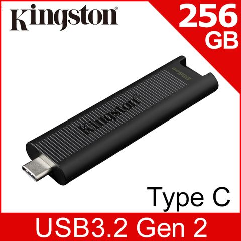 金士頓 Kingston DataTraveler Max TYPE-C USB 3.2 Gen 2 隨身碟 (DTMAX/256GB)
