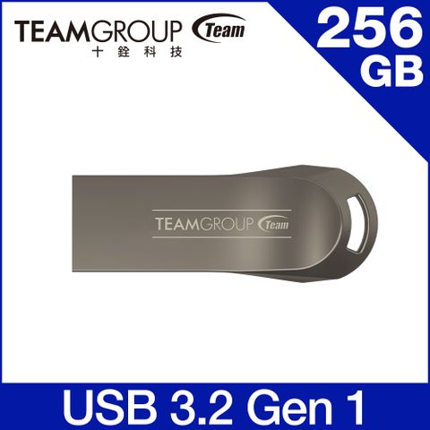 Team 十銓 Model T 256GB USB 3.2隨身碟 鎳黑 (終身保固)