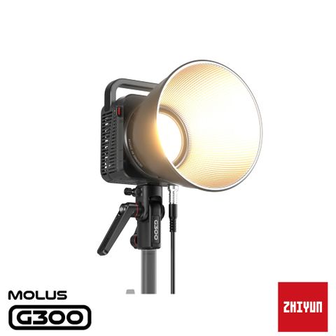 ZHIYUN 智雲 MOLUS G300 功率王 單燈組 正成公司貨