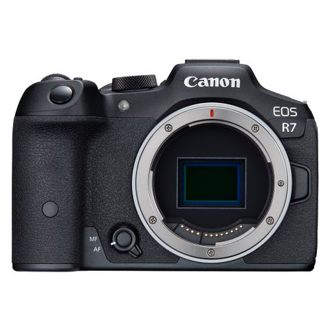 Canon EOS R7 BODY單機身(公司貨)