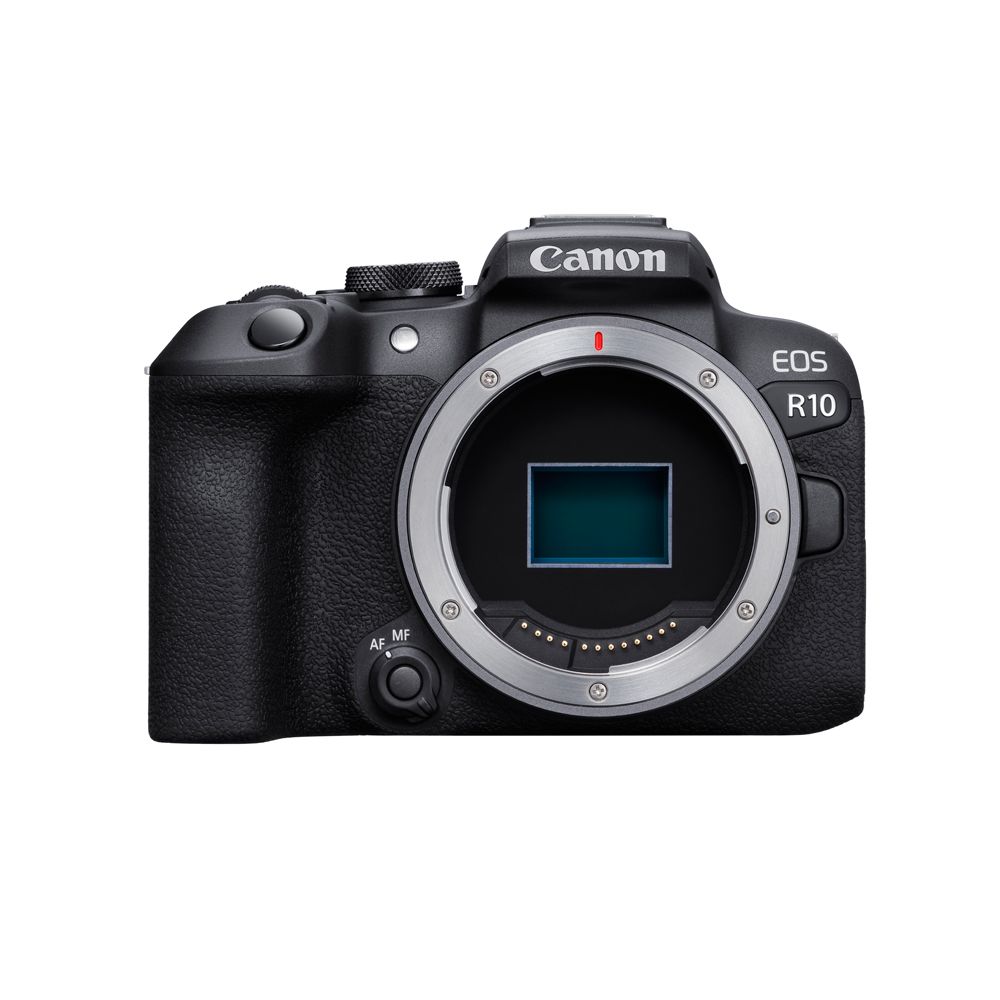 Canon EOS R6 ボディ シャッターユニット交換済 保証残あり - カメラ