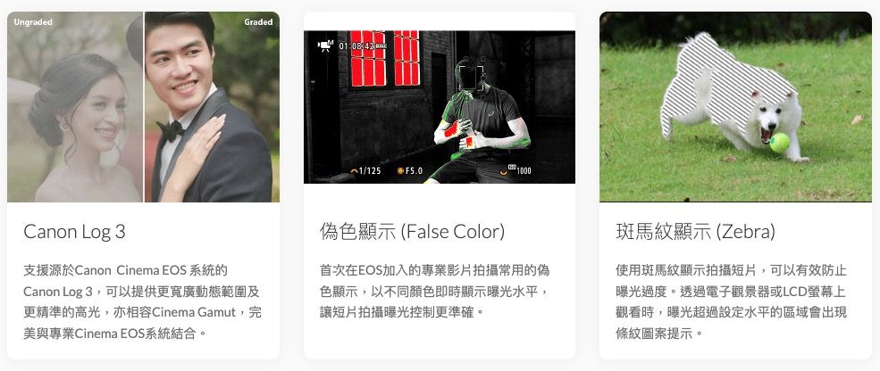 UngradedGraded1/125 F5.01000Canon Log 3支援源於Canon Cinema EOS 系統的Canon Log 3,可以提供更寬廣動態範圍及更精準的高光,亦相容Cinema Gamut,完美與專業Cinema EOS系統結合。偽色顯示(False Color)首次在EOS加入的專業影片拍攝常用的偽色顯示,以不同顏色即時顯示曝光水平,讓短片拍攝曝光控制更準確。斑馬紋顯示(Zebra)使用斑馬紋顯示拍攝短片,可以有效防止曝光過度。透過電子觀景器或LCD螢幕上觀看時,曝光超過設定水平的區域會出現條紋圖案提示。