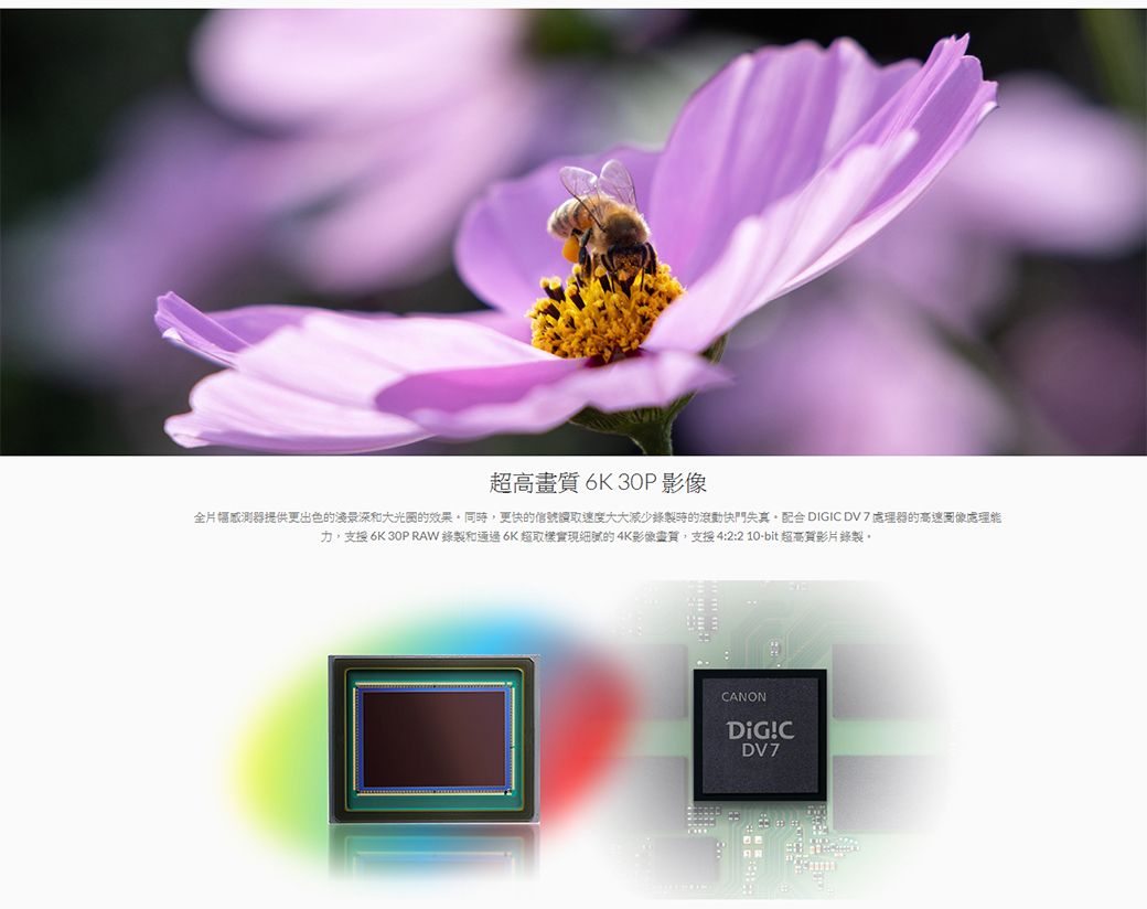 超高畫質 6K 30P全片幅感測器提供更出色的景深和大光圈的效果同時更快的信號速度大大減少錄製時的滾動快門失真配合 DIGIC DV 7 處理器的高速處理能, 6K 30P RAW錄製和通過6K超的4K影像畫質,支援 4:2:2 10-bit 超高質影片錄製。CANONDiG!CDV7