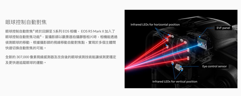 眼球控制自動對焦眼球控制自動對焦終於回歸至5系列 EOS 相機EOS R5 Mark II 加入了眼球控制自動對焦功能,當攝影師以觀景器拍攝靜態相片時,相機能透過偵測眼球的移動、根據攝影師的視線移動自動對焦點,實現於多個主體間快速切換自動對焦的可能。全新的307,000像素視線感測器及改良後的眼球偵測技術能讓偵測更穩定及更快速追蹤眼球的運動。Infrared  for horizontal positionEVF panelInfrared  for vertical positionEye control sensor