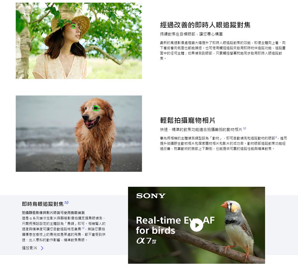 經改善的即時人眼追蹤對焦持續對焦在目標眼部讓您構圖最新的高速影像處理器大幅提升了即時人眼追蹤對焦的效能,即便主體向上看、向下看或看向側面也都能捕捉也可使用觸控追蹤來啟用即時物件追蹤功能,追蹤畫面中的任何主體;如果偵測到眼部,只要觸控螢幕同步啟用即時人眼追蹤對輕鬆拍攝寵物相片快速、精準的對焦功能適合拍攝難拍的動物相片事先將相機的主體偵測類型設為「動物」,即可自動偵測和追蹤動物的眼部,進而提升拍攝野生動物相片和居家寵物相片和影片的成功率。動物眼部追蹤對焦功能經過改善,就算動物的臉部上下顛倒,也能提供可靠的追蹤性能與精準對焦。SONY即時鳥眼追蹤對焦 拍攝靜態影像與影片時皆可使用鳥眼偵測這系列在影片與靜態影像拍攝支援鳥眼偵測,只需將預設設定的主體設為「」即可。相機驚人的速度與精準度可讓您自動追蹤禽鳥,無論您要拍攝棲息在樹枝上的鳥兒或是某處的飛鳥,都不會受到快速、出人意料的動作影響,精準對焦鳥眼。播放影片 Real-time  for birds
