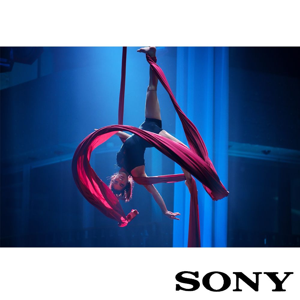 SONY 索尼 Alpha 7S III 數位單眼相機 ILCE-7SM3