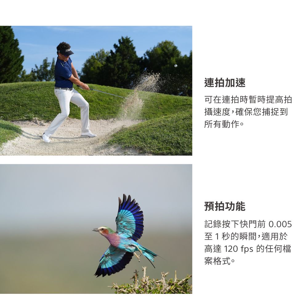 連拍加速可在連拍時暫時提高拍攝速度,確保您捕捉到所有動作。預拍功能記錄按下快門前 0.005至1秒的瞬間,適用於高達 120 fps 的任何檔案格式。