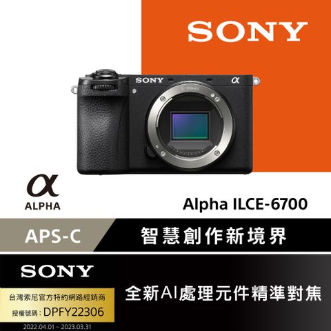 SONY ILCE-6700 單機身 (公司貨 保固 18+6 個月)