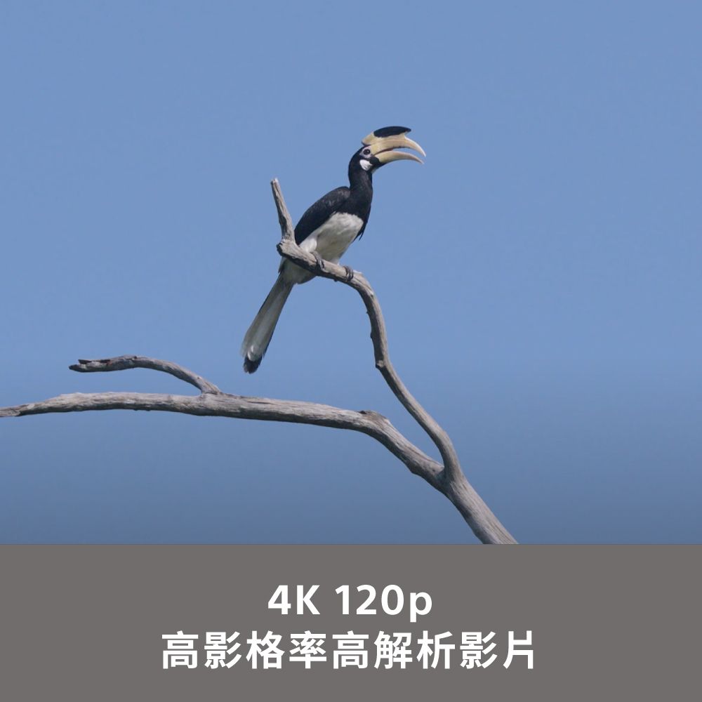 SONY 索尼  ILCE-6700M SEL18135 旅遊變焦單鏡組(公司貨 保固 18+6 個月)