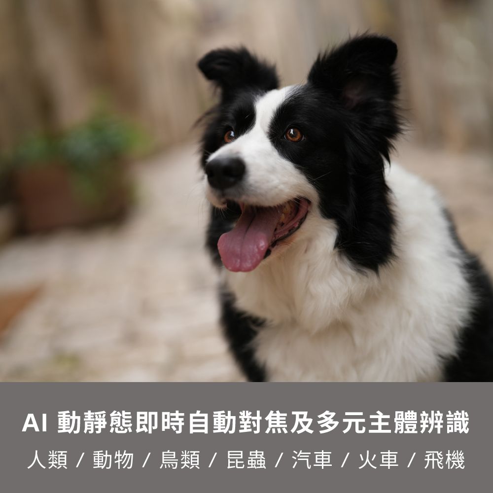 SONY 索尼  ILCE-7CR A7CR 黑色(公司貨)