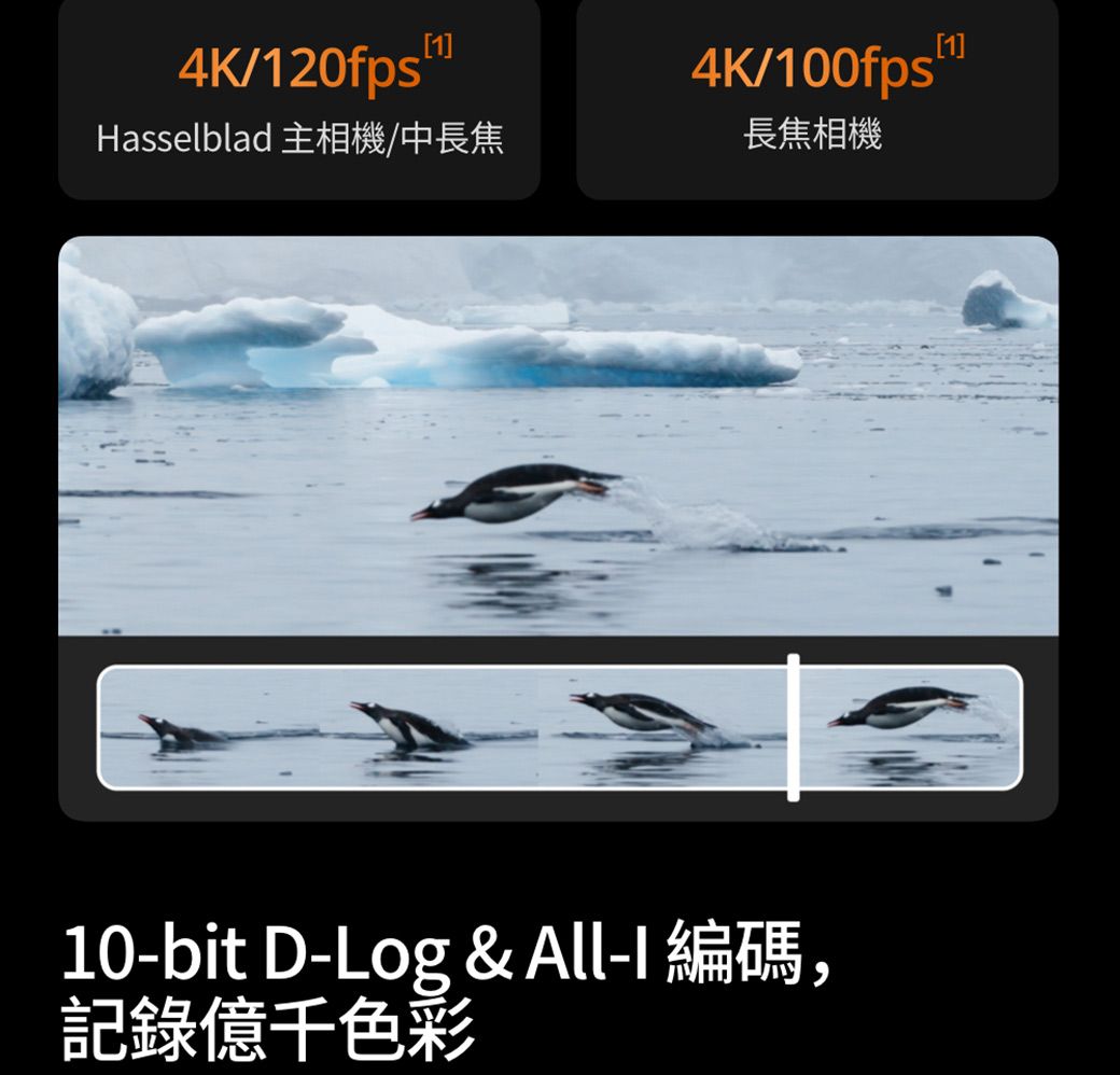 4K/4K/Hasselblad 主相機/中長焦長焦相機10bit D-Log &amp; All-I 編碼,記錄億千色彩