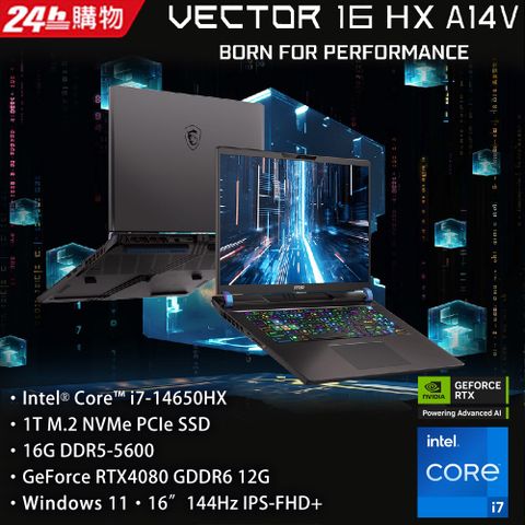 【M365組】MSI Vector 16 HX 16吋 電競筆電灰(i7-14650HX/16G/1T/RTX4080-12GB/WIN11/A14VHG-691TW)