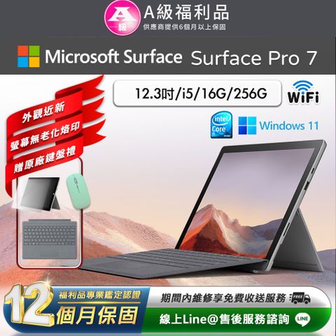 Microsoft 微軟 Surface Pro 7 12.3吋 (i5/16G/256G) WiFi版 平板電腦(超值原廠鍵盤配件禮)