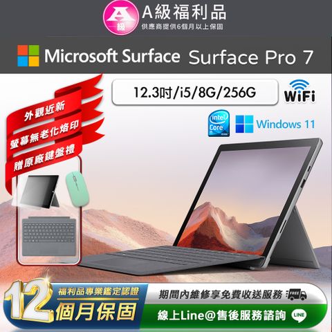 Microsoft 微軟 Surface Pro 7 12.3吋 (i5/8G/256G) WiFi版 平板電腦(超值原廠鍵盤配件禮)