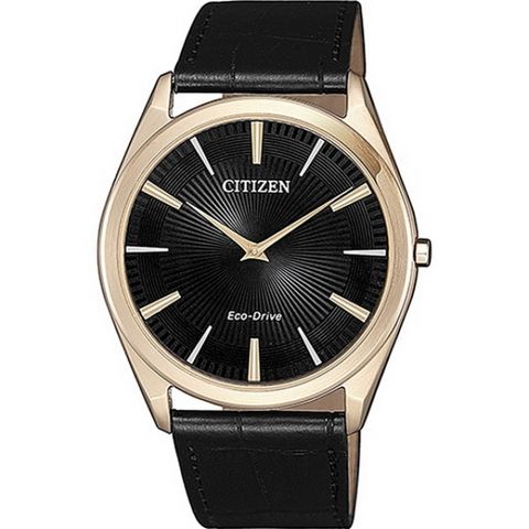 CITIZEN 星辰 Eco-Drive 簡約設計 光動能 皮帶女錶 AR3073-06E 黑/金 38mm