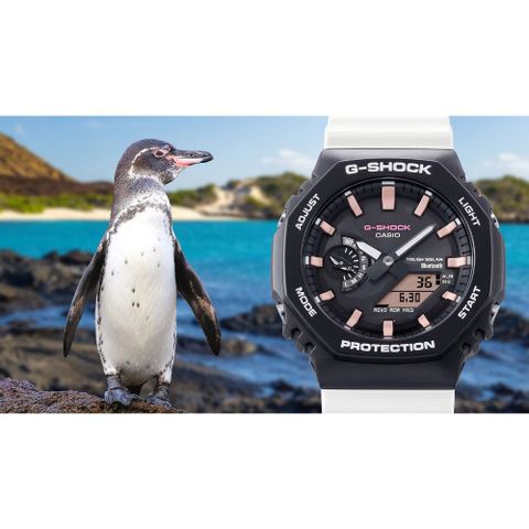 CASIO 卡西歐 G-SHOCK 加拉巴哥企鵝 保護生態 限量聯名 藍牙 太陽能 八角 GA-B2100CD-1A7_45.4mm