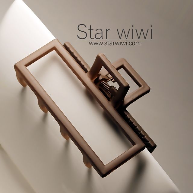 Star wiwi 時尚簡約風格造型霧面大抓夾《2入組》《黑色 / 淺棕色》 ( 髮飾 髮夾 鯊魚夾 )