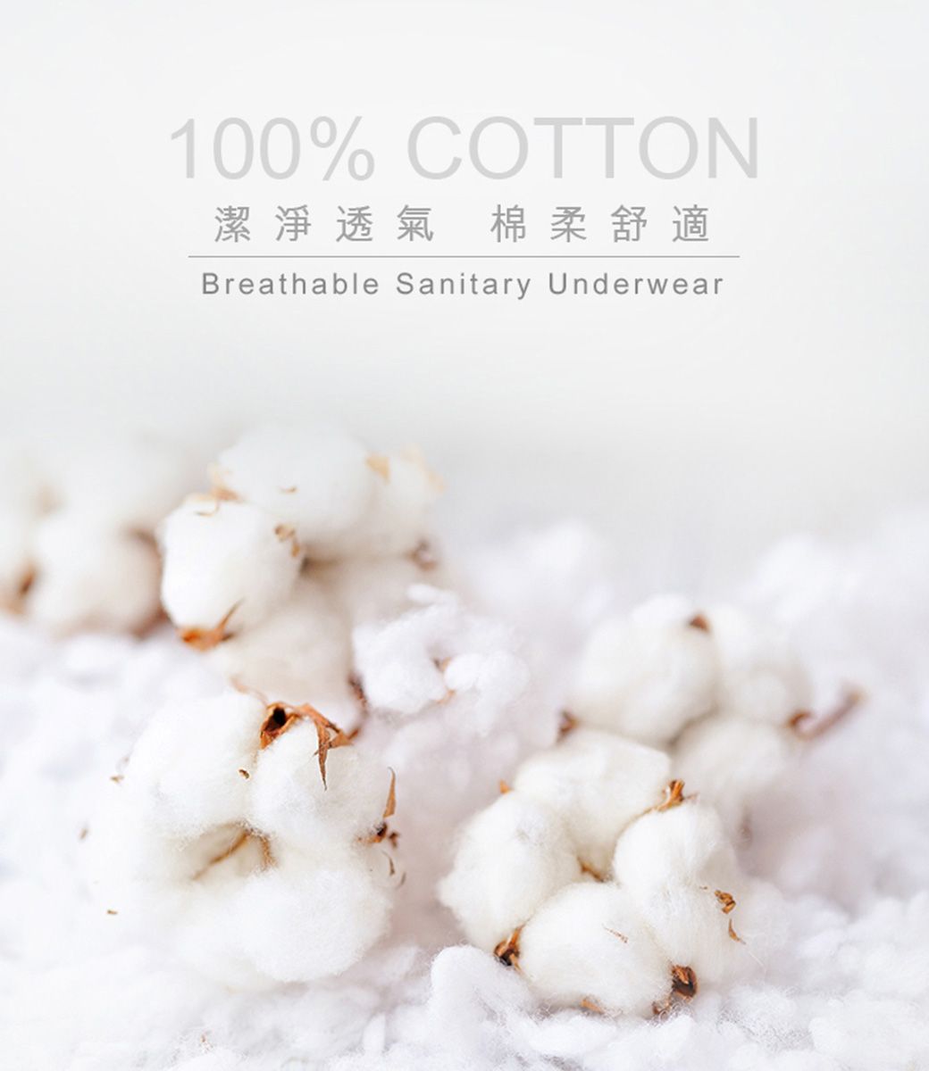 100% COTTON潔淨透氣棉柔舒適Breathable Sanitary Underwear