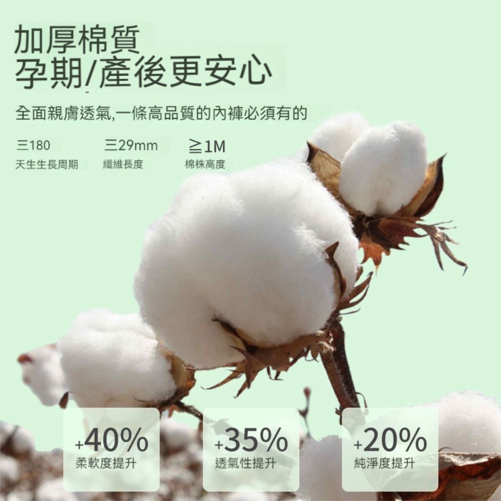 荷生活 女用拋棄式綿質內褲 滅菌處理便攜式雙層可拋式內褲-5條