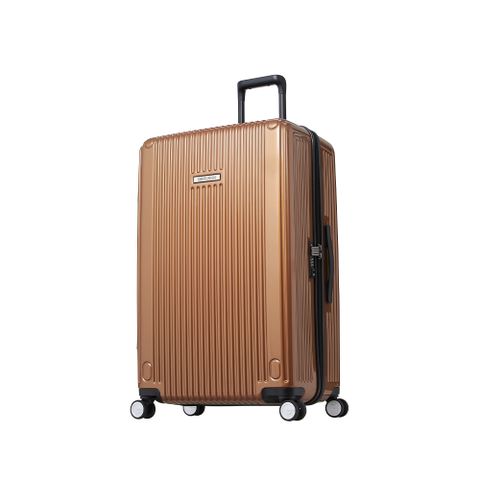 CENTURION 百夫長 29吋 商務艙 旅行箱 舊金山金行李箱 登機箱