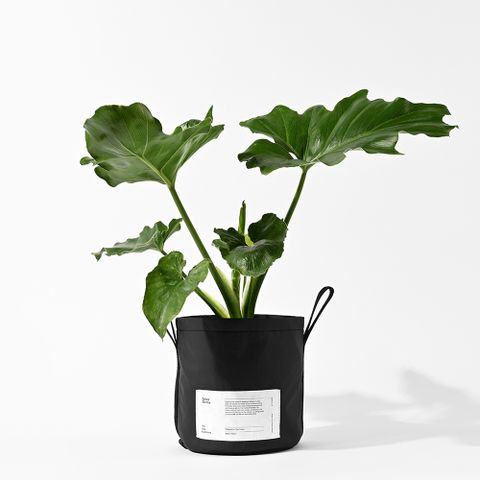 fyber forma POTTED 植栽置物袋 黑
