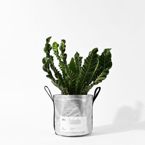 fyber forma POTTED 植栽置物袋 銀