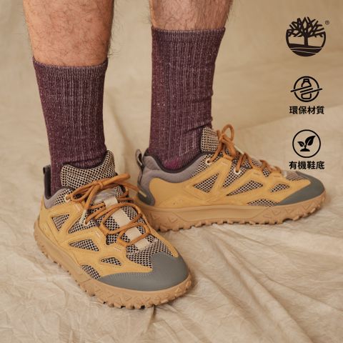 Timberland 男款小麥色Motion 6低筒健行鞋|A6DU2EDM