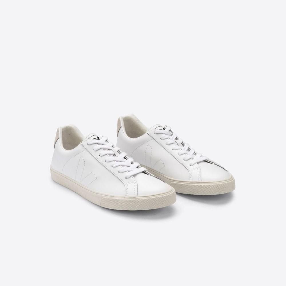 VEJA  ESPLAR LEATHER 全白款 法國小白鞋 男性平底休閒鞋