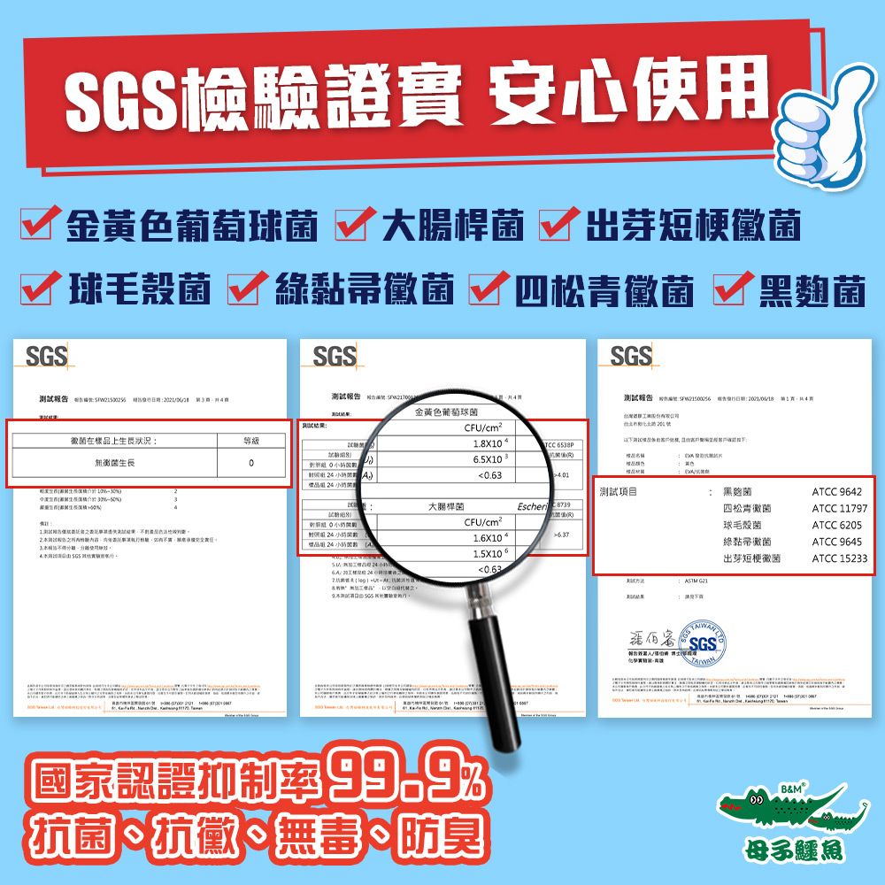 SGS檢驗證實 安心使用金黃色葡萄菌出芽短梗黴菌 球毛菌  帚黴菌 四松青黴菌 黑SGSSGSSGS測試報  菌在樣上生長狀況無黴菌生長測試報告 測試報告  告: 金黃色葡萄球菌CFU/cm².81 TCC 06.5X10 名稱A0.63 測試項目大腸桿菌 )品   (CFU/cm²1.6X101.5X1060.631 : 黑麴菌四松青黴菌ATCC 9642ATCC 11797球毛殼菌ATCC 6205黏黴菌ATCC 9645出芽短梗徽菌ATCC 15233SGS國家認證抑制率抗菌抗黴、無毒、防臭B&M母子鱷魚