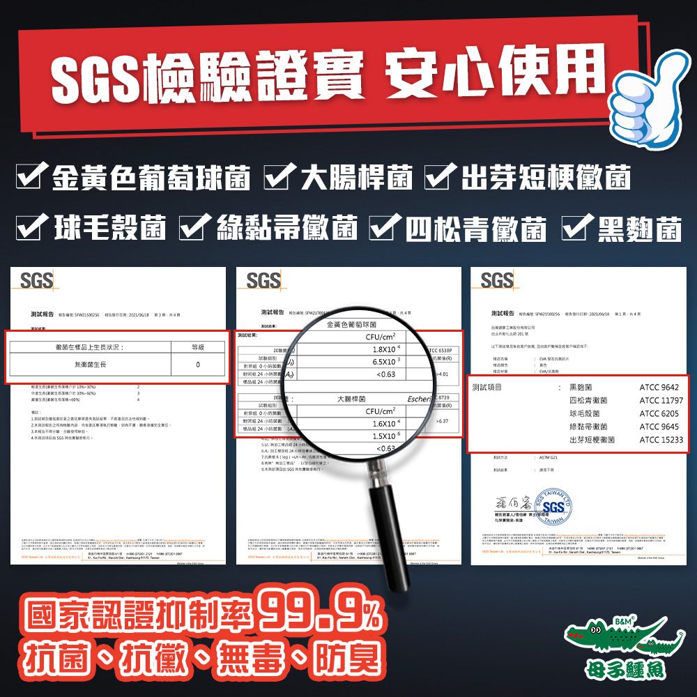 SGS檢驗證實 安心使用 金黃色葡萄菌  出芽短梗菌 球毛菌 綠黏帚黴菌 四松青黴菌 黑SGSSGSSGS測試報  菌在上狀況無黴菌長生測試報告 測試報告  告: 金黃色葡萄球菌A樣 CFUcm².8X10 .5X10 )品0.63測試項目  小時 大腸桿菌CFU/cm²1.6X101.5X10 6  0.63 ): 黑麴菌四松青黴菌球毛殼菌黏黴菌出芽短梗徽菌1 / SGSATCC 9642ATCC 11797ATCC 6205ATCC 9645ATCC 1523399.9%國家認證抑制率 抗菌、抗黴、無毒、防臭&M母子鱷魚