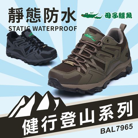 母子鱷魚 -官方直營-健行登山系列：靜態防水鞋-黑/咖-男鞋