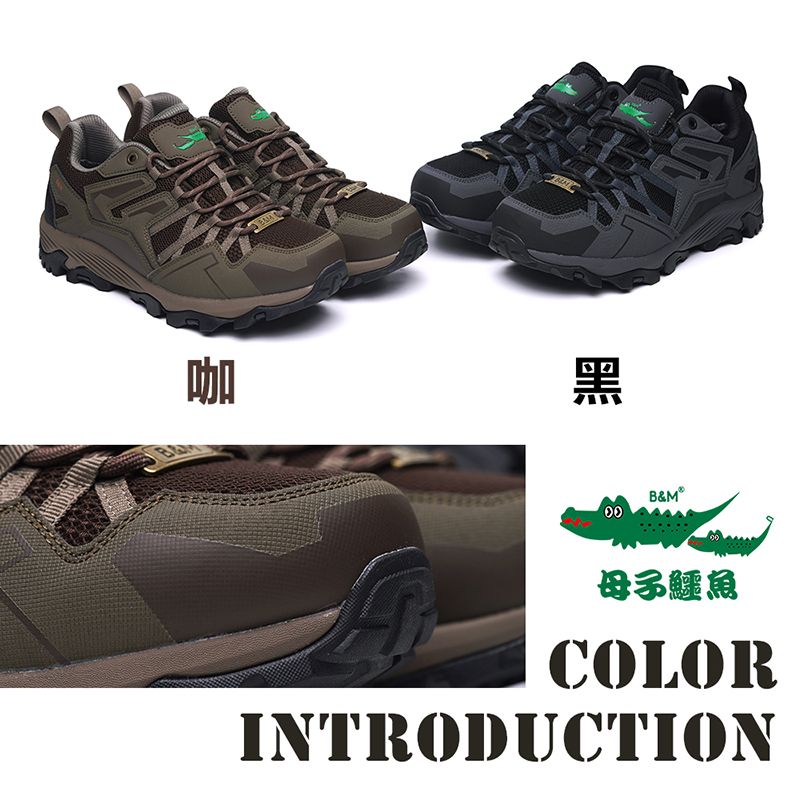 咖黑B&M母子鱷魚COLORINTRODUCTION