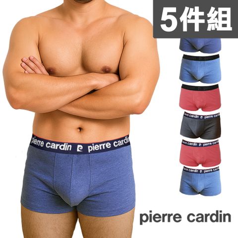 【Pierre Cardin 皮爾卡登】輕柔高彈力平口內褲 四角內褲(5件組)