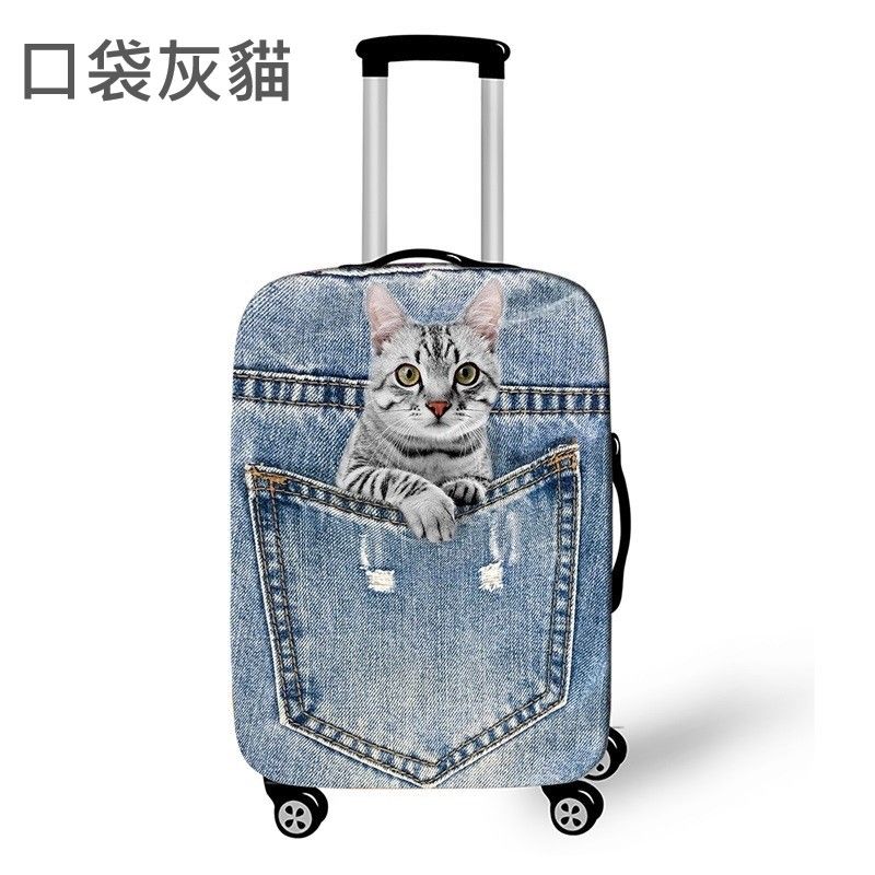 口袋灰貓