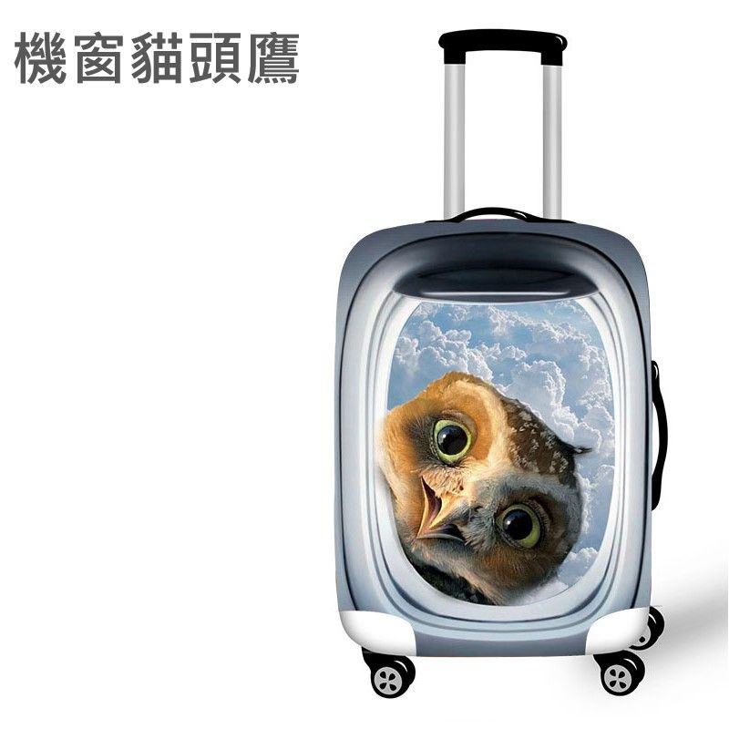 機窗貓頭鷹