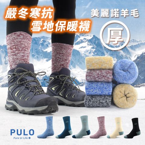 PULO 布蘿國民襪館 3雙組-美麗諾羊毛厚圈高筒登山襪