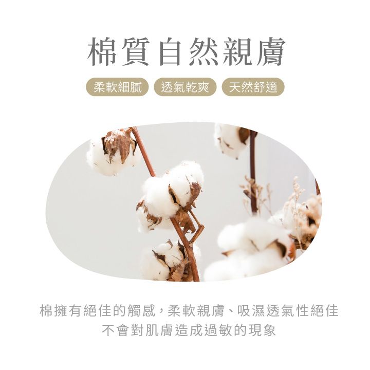 VOLA 維菈織品 【維菈】百搭色塊長襪 台灣製 百搭翻玩色彩 經典 色塊 多色 長襪 中筒襪 女襪 穿搭襪 韓襪 韓國襪