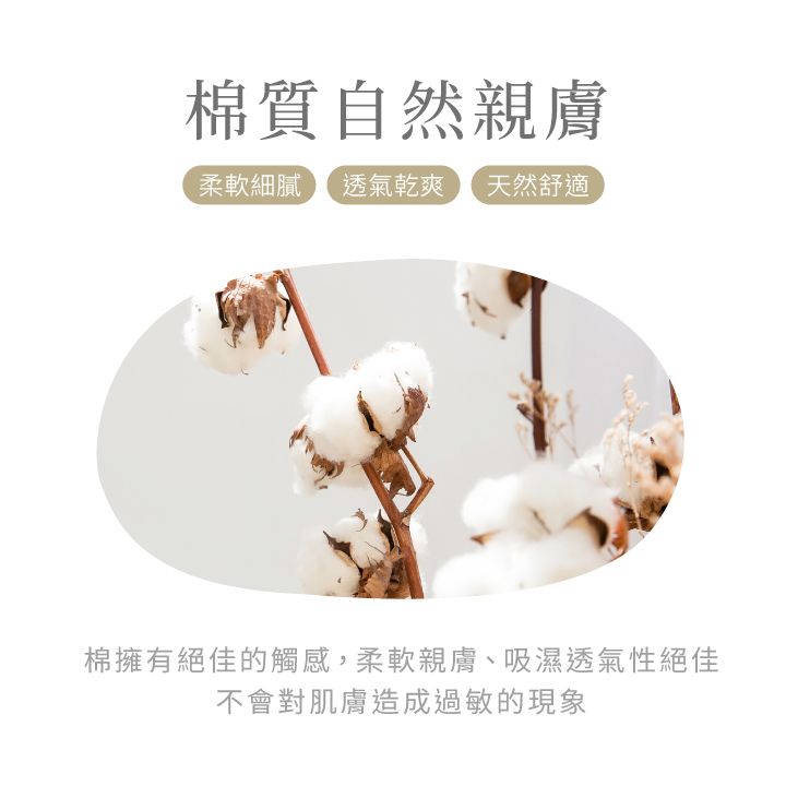 VOLA 維菈織品 【維菈】百搭撞色條紋長襪 台灣製 百搭翻玩色彩 撞色 條紋 多色 長襪 中筒襪 女襪 穿搭襪 韓襪 韓國襪