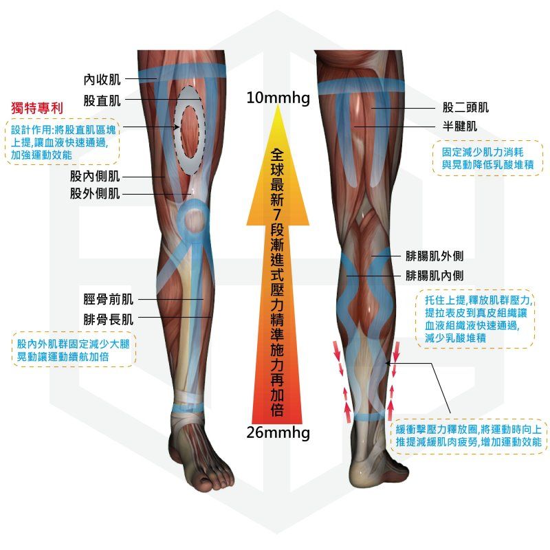 內收肌股直肌0mmhg獨特專利股二頭肌「設計作用:將股直肌區塊上提血液快速通過,運動效能股內側肌股外側肌脛骨前肌腓骨長肌股內外肌群固定減少大腿晃動讓運動續航全球加倍半腱肌固定減少肌力消耗與晃動降低乳酸堆積腓腸肌外側腓腸肌內側托住上提,釋放肌群壓力,提拉表皮到真皮組織讓 血液組織液快速通過,減少乳酸堆積26mmhg「緩衝擊壓力釋放圈,將運動時向上1提減緩肌肉疲勞,增加運動效能