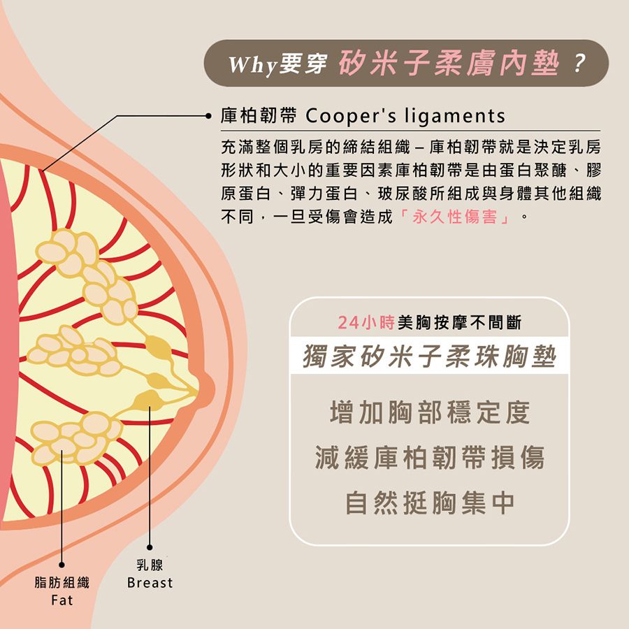 Star Lace 矽米子 爆裂機能內衣 深紫