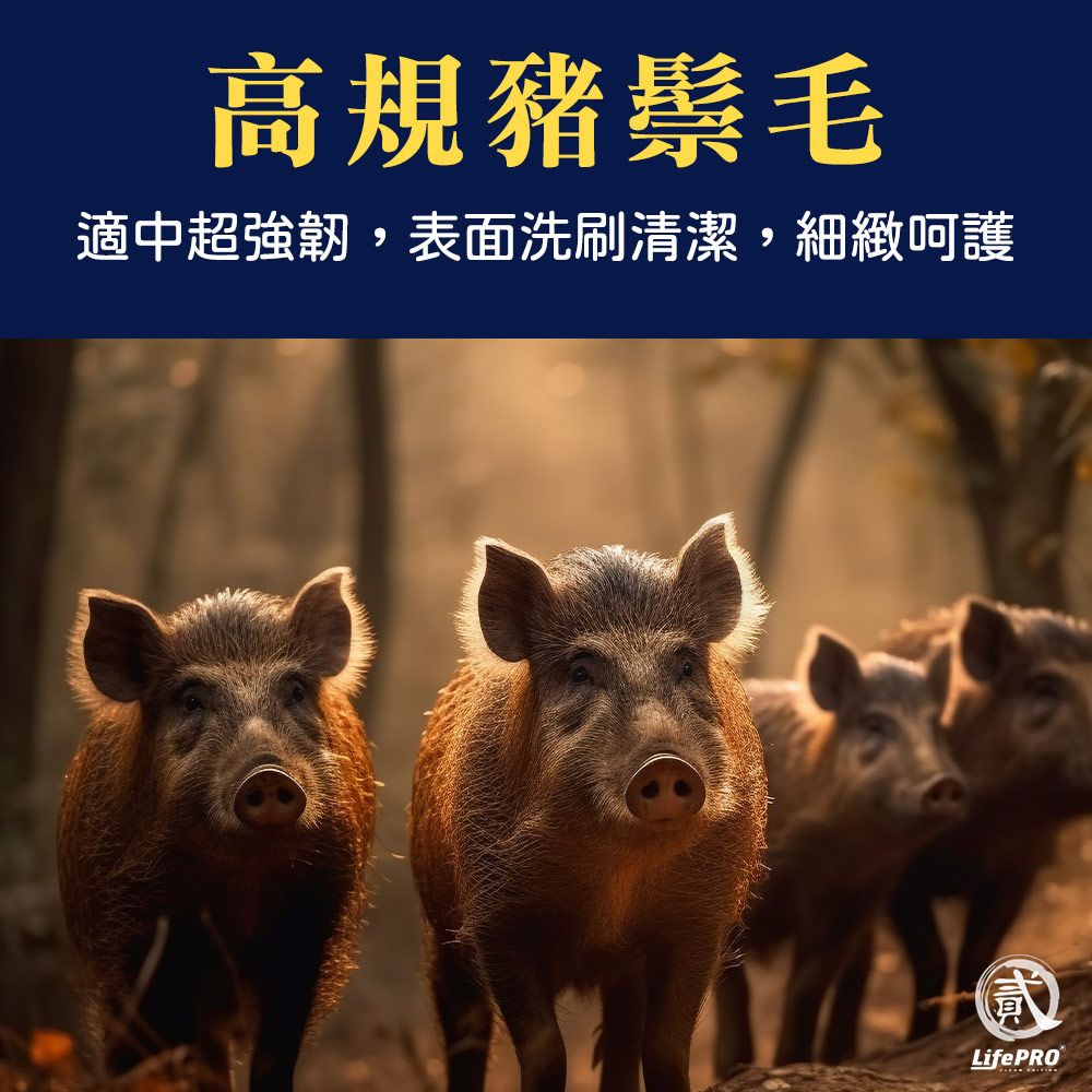 高規豬鬃毛適中超強韌,表面洗刷清潔,細緻呵護LifePRO