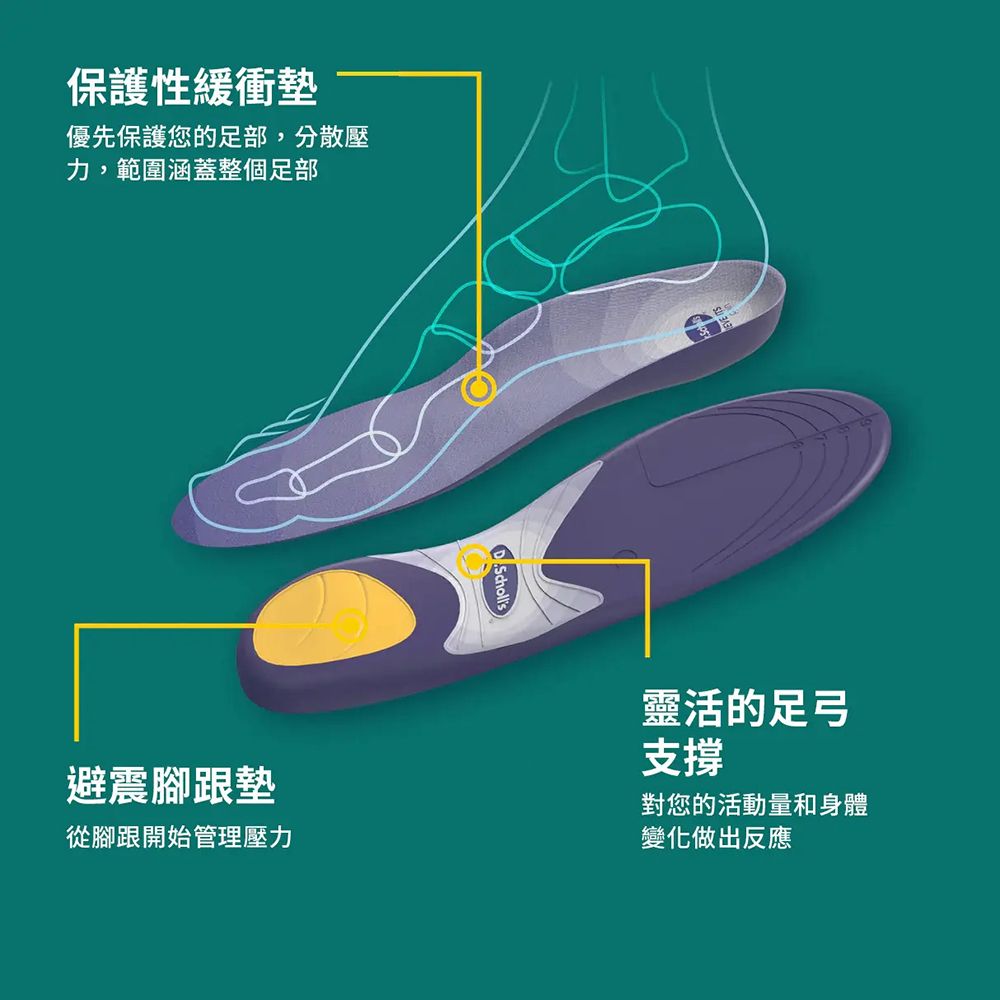 保護性緩衝墊優先保護您的足部,分散壓力,範圍涵蓋整個足部 Scholls靈活的足弓避震腳跟墊從腳跟開始管理壓力支撐對您的活動量和身體變化做出反應