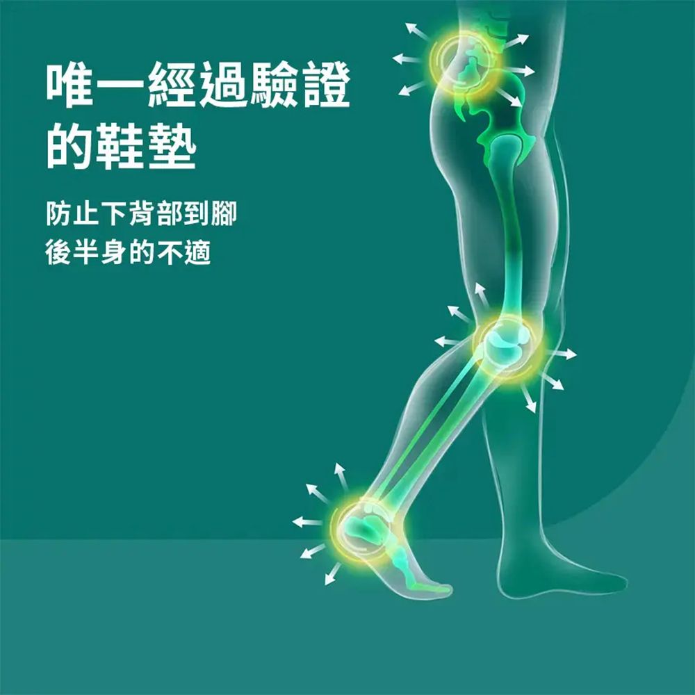 DR.SCHOLL'S 爽健 健力防護機能鞋墊  (男/女用 任選)