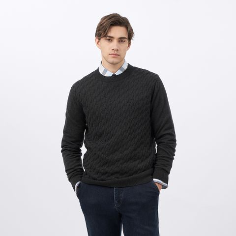 【pierre cardin皮爾卡登】男款 混紡羊毛圓領素色暗緹花組織毛衣-黑灰色 (5235474-96)