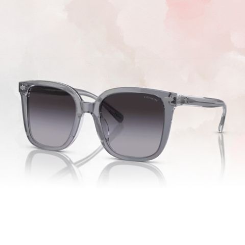 【COACH】時尚膠框太陽眼鏡(HC8381F-57808G56)