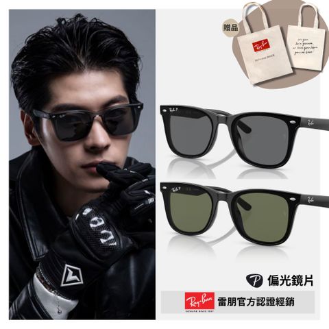 RAY BAN 雷朋 膠框偏光太陽眼鏡(RB4391D-601/9A、601/81 65mm 偏光鏡片)